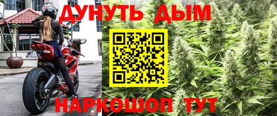 твердый Бийск