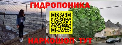 твердый Бийск