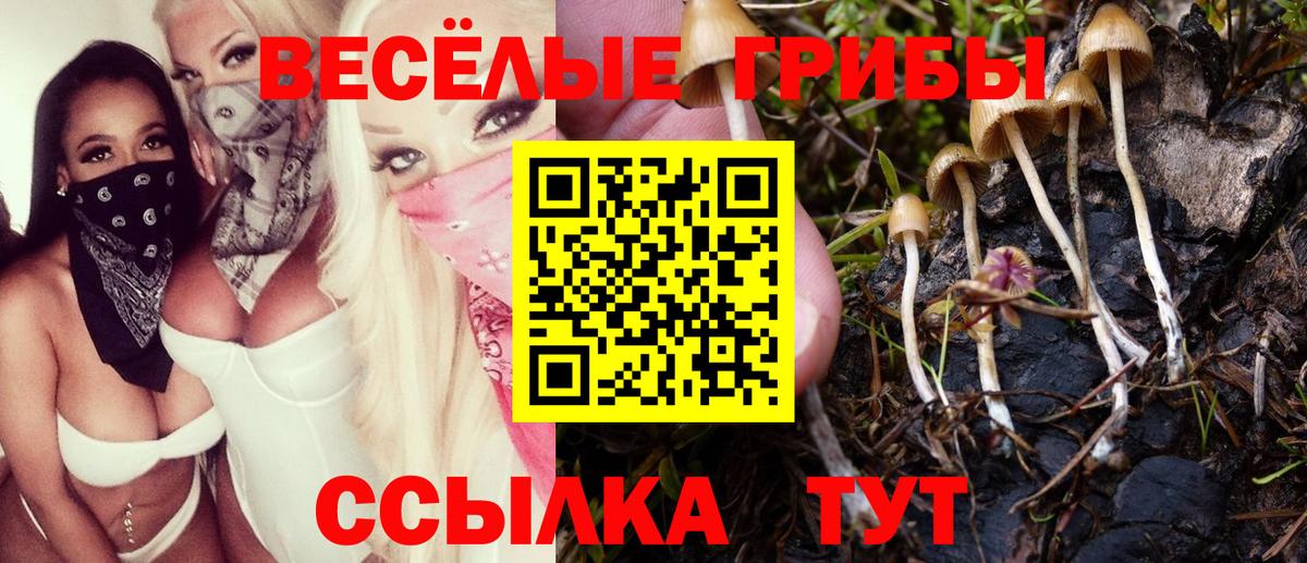 Большой Камень  Галлюциногенные грибы Cubensis  Вход с VPN 