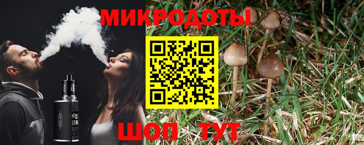 Галлюциногенные грибы ЛСД Большой Камень