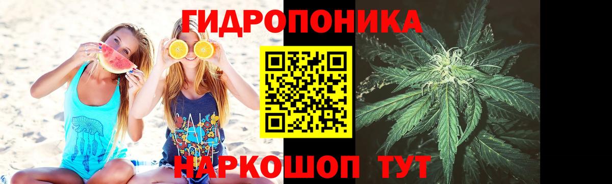 Бошки марихуана THC 21%  Вход с VPN  Бошки Шишки тримм  Шишки марихуана AK-47  Большой Камень 